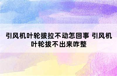 引风机叶轮拔拉不动怎回事 引风机叶轮拔不出来咋整